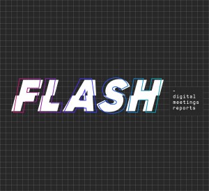 logo_flash