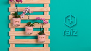 spr_7bornanci_raiz