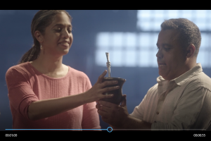 campanha-global-4