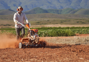 stihl