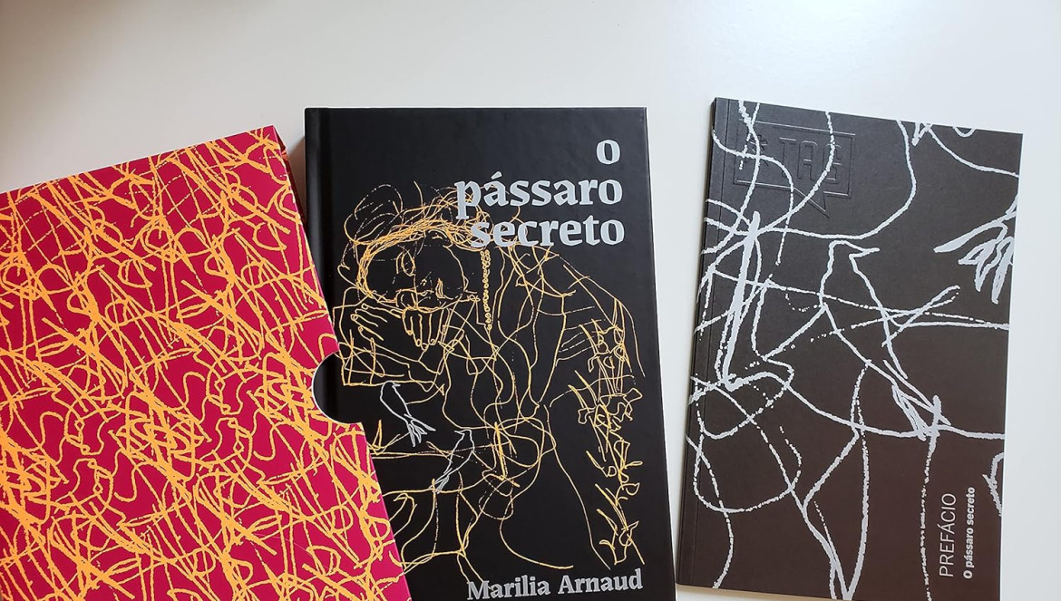 LeiturARP de abril apresenta o livro “O pássaro secreto”