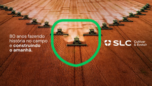 Grupo SLC (1)