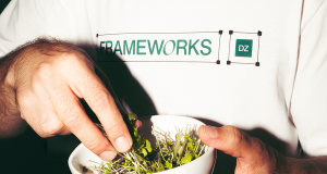 FRAMEWORKS 2