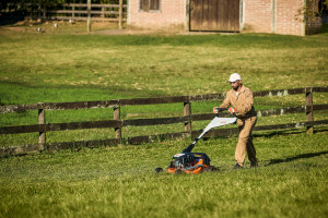 stihl
